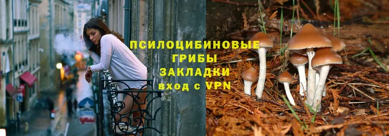 Купить закладку Сибай Alpha PVP  ТГК  КОКАИН  Меф мяу мяу 