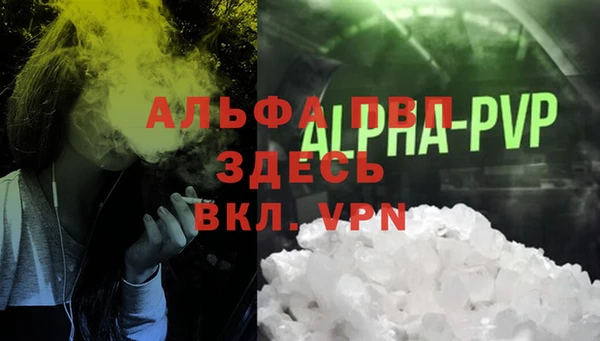 PSILOCYBIN Каменка