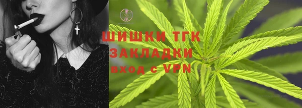 PSILOCYBIN Каменка