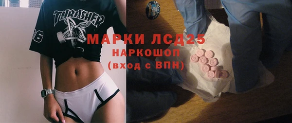 PSILOCYBIN Каменка
