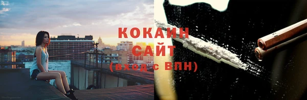 PSILOCYBIN Каменка