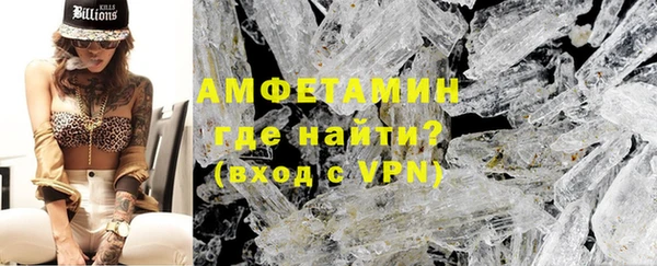 PSILOCYBIN Каменка