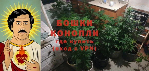 трава Кулебаки