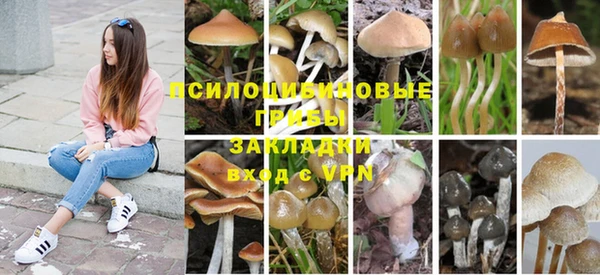 PSILOCYBIN Каменка