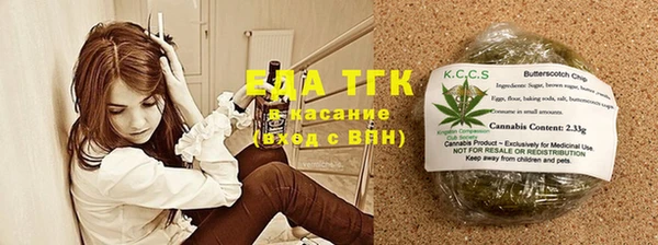 PSILOCYBIN Каменка