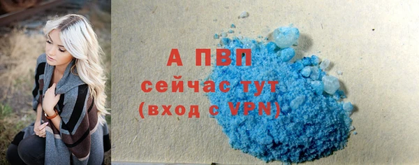 PSILOCYBIN Каменка