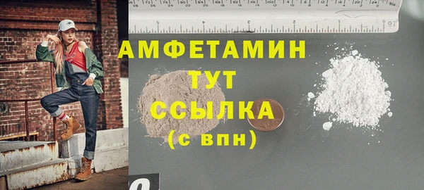 PSILOCYBIN Каменка