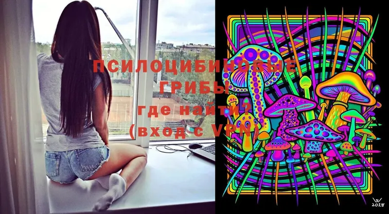 OMG как войти  Сибай  Псилоцибиновые грибы Psilocybine cubensis 