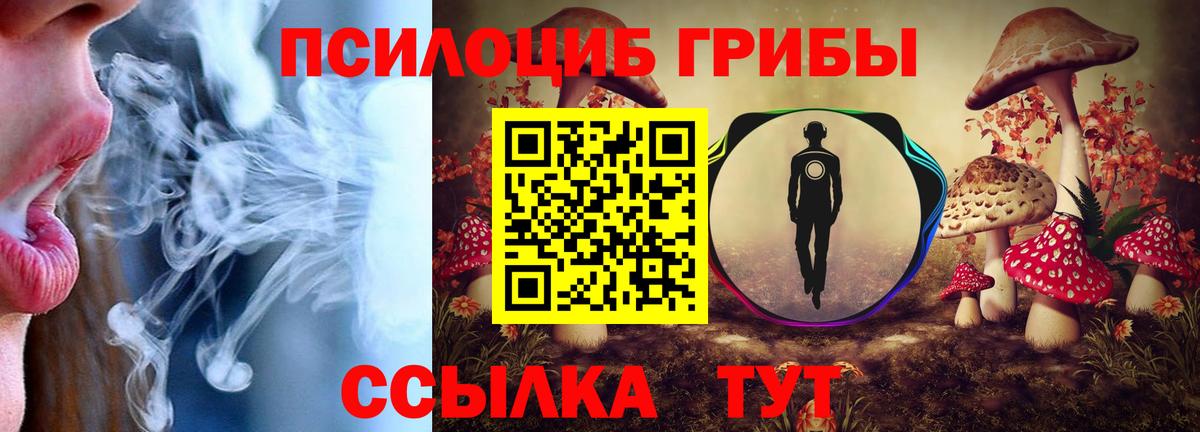 Псилоцибиновые грибы Psilocybine cubensis Сибай