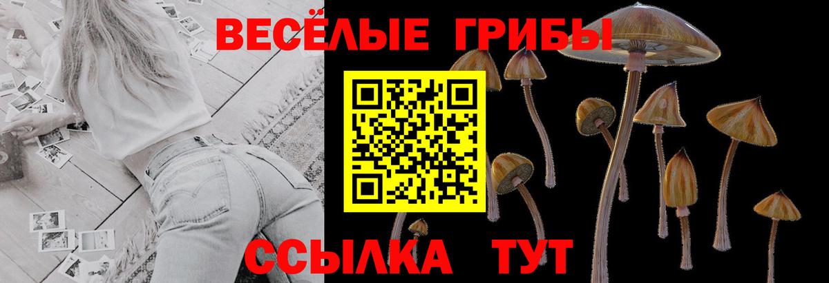 наркошоп  Псилоцибиновые грибы прущие грибы  Вход с VPN  Сибай 